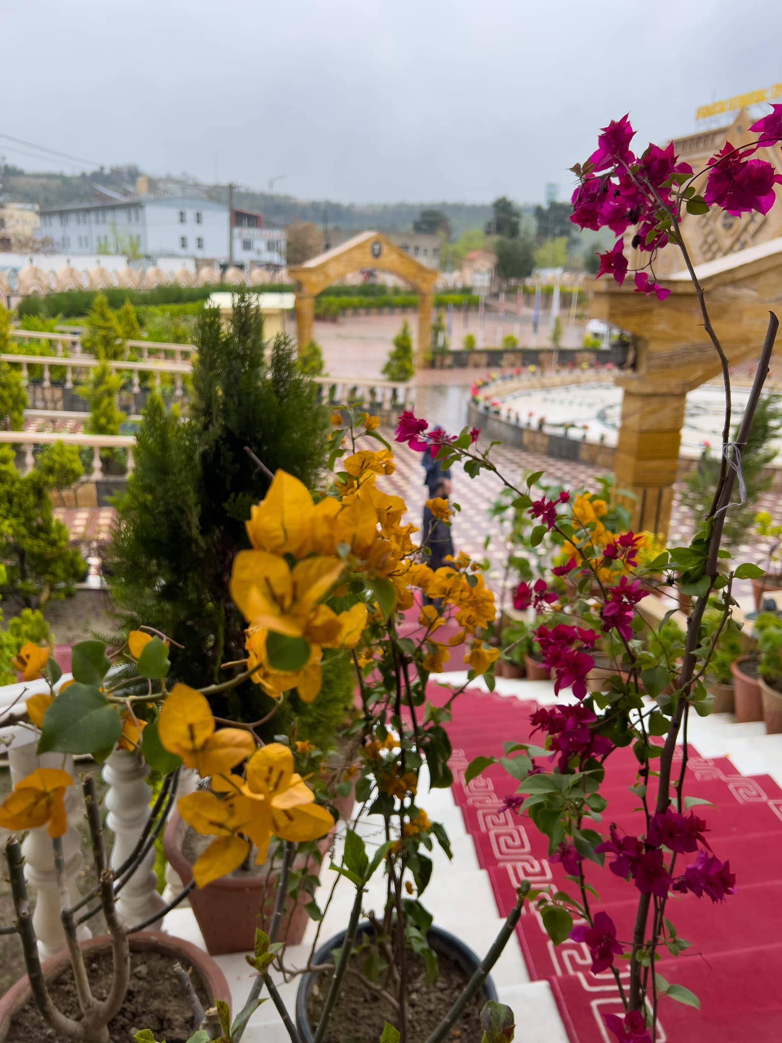 گالری مرکز 14